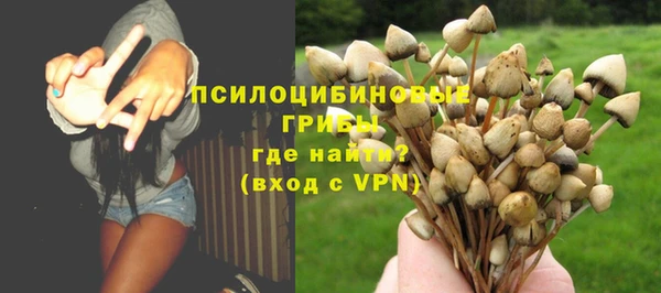 индика Липки