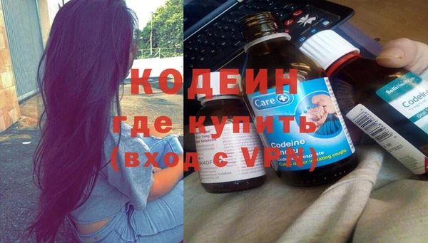 индика Липки