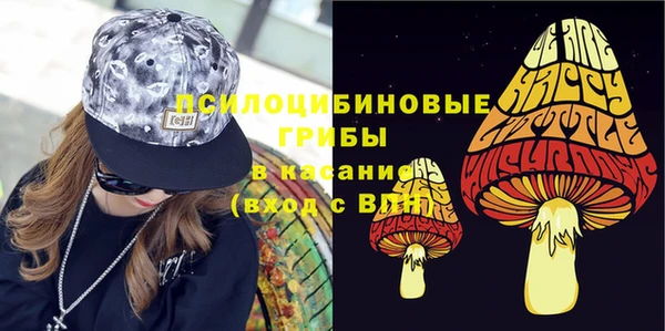 индика Липки