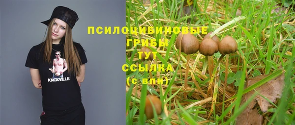 скорость Лиски