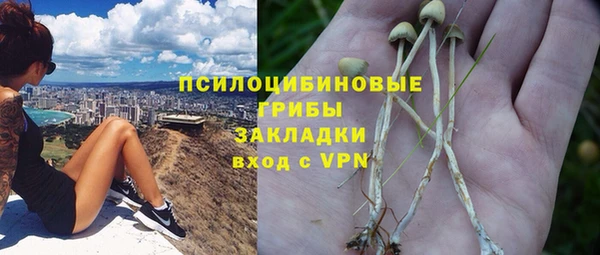 индика Липки