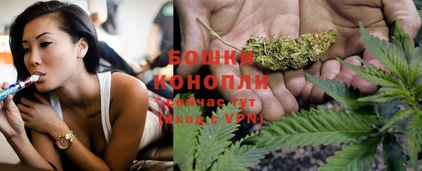 тгк Новодвинск