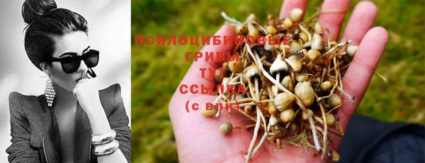 бутират Ладушкин